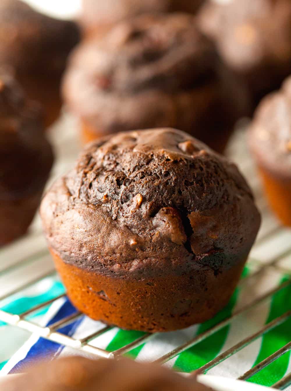 Healthier Double Chocolate Muffins | The Recipe Critic