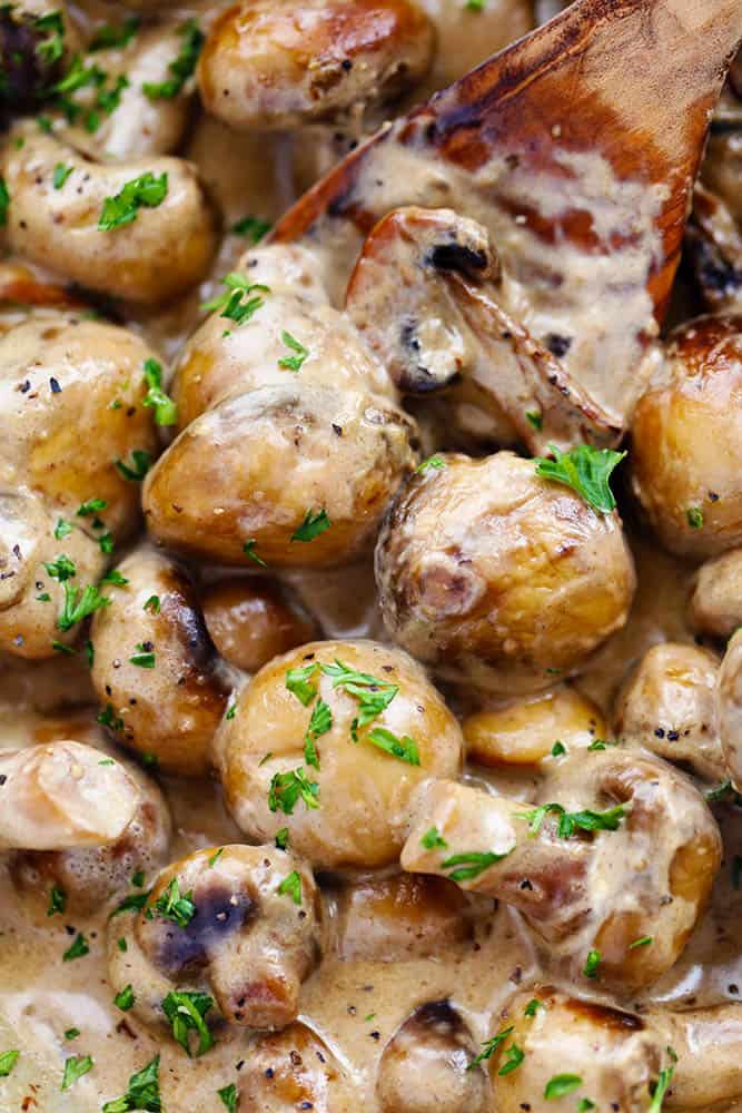 Creamy Garlic Parmesan Mushrooms The Recipe Critic