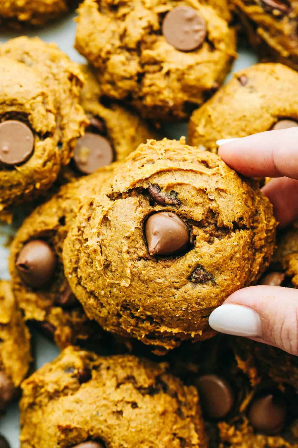 Pumpkin Chocolate Chip Cookies - Only 3 Ingredients! | The Recipe Critic