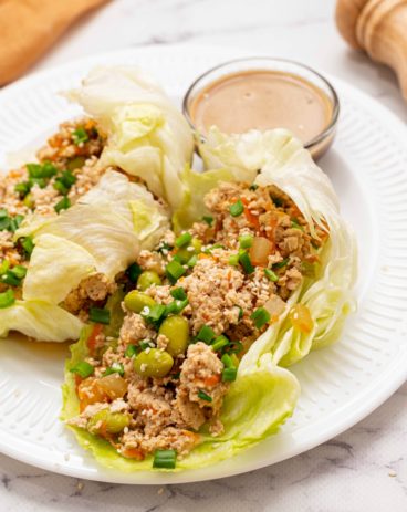 Asian Turkey Lettuce Wraps Recipe - 64