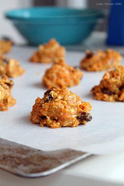 Oatmeal Raisin Breakfast Cookie Sandwiches - 29