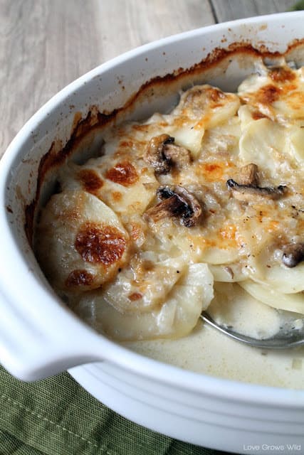 Potato and Mushroom Gratin by Love Grows Wild for The Recipe Critic