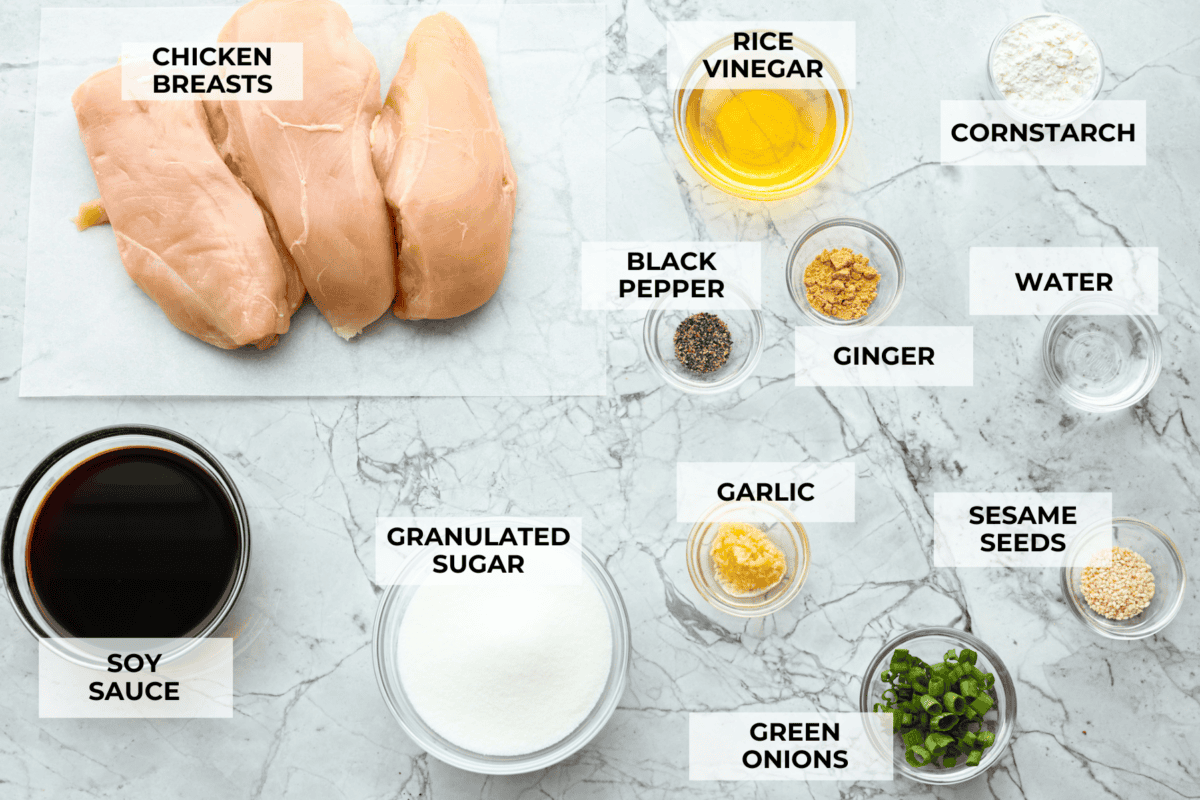 Overhead shot of labeled ingredients. 