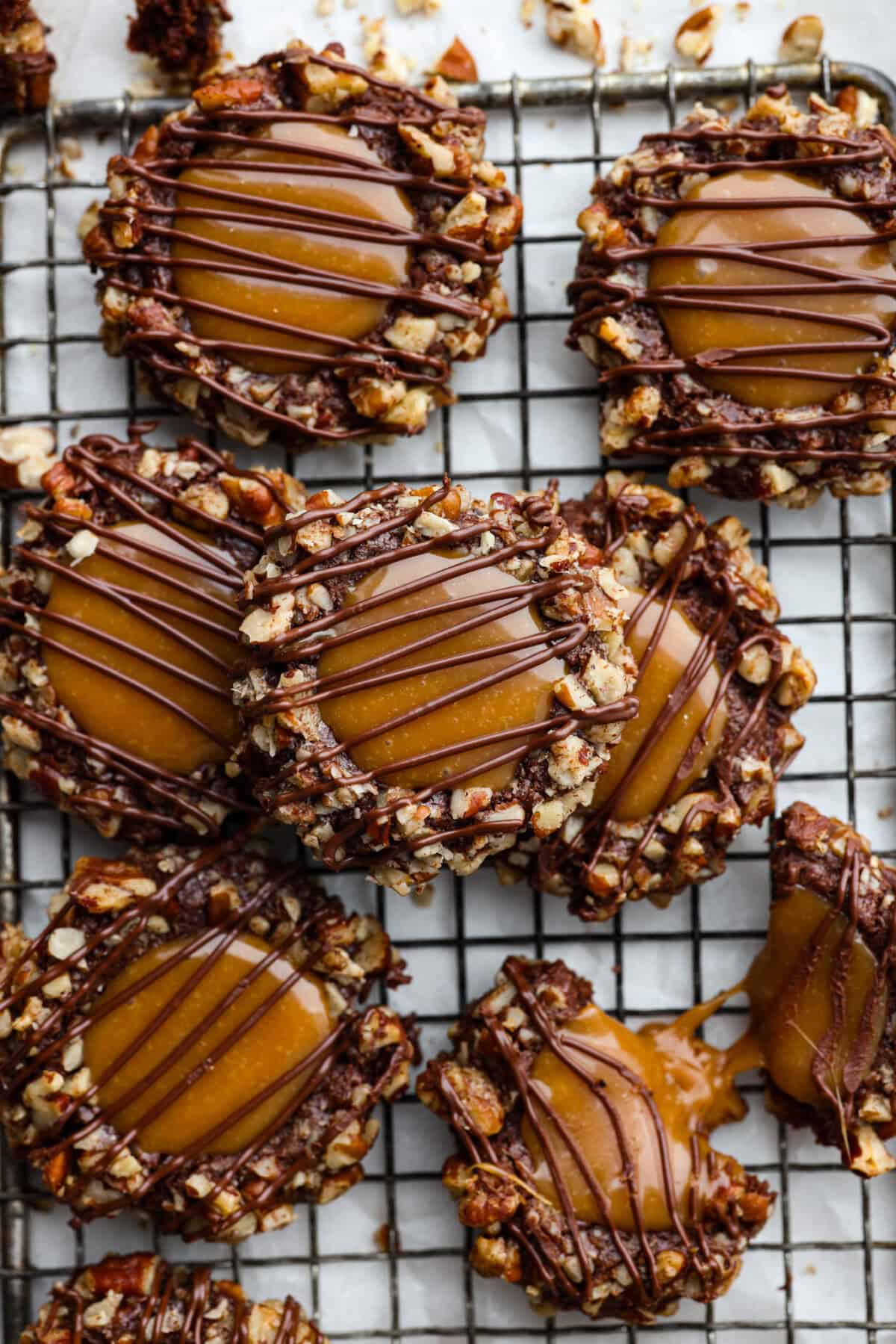 Close up shot of turtle cookies. 