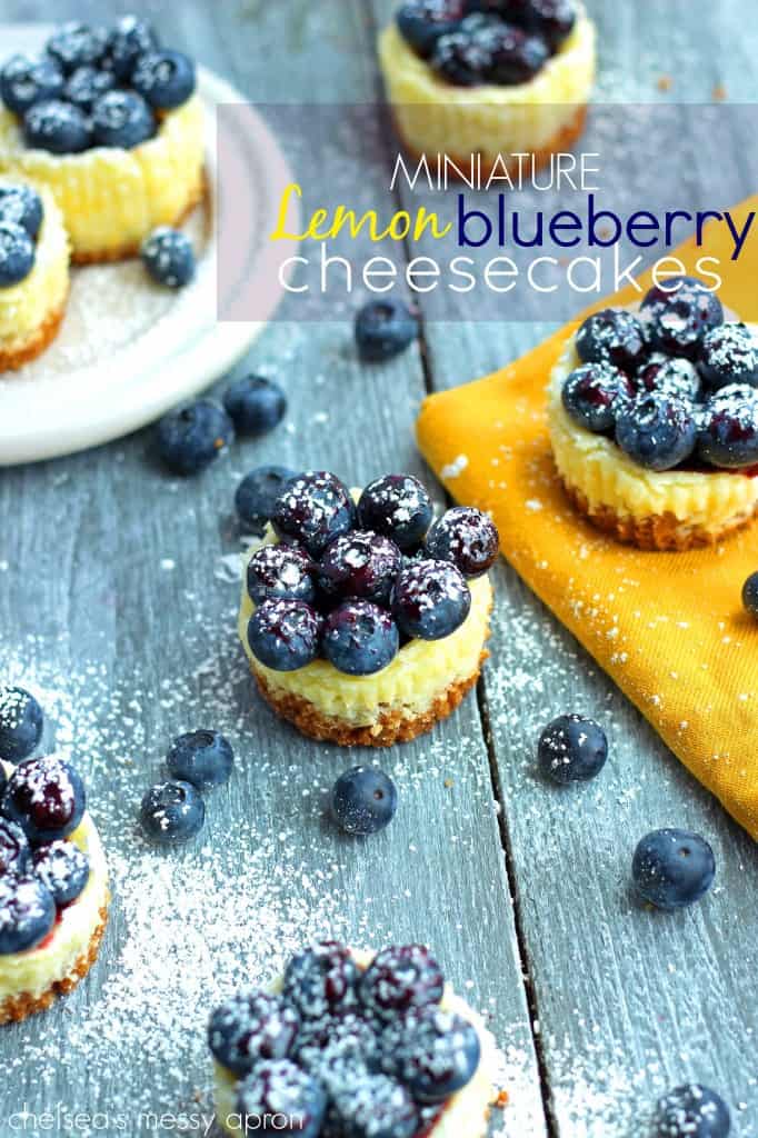 Lemon & Blueberry Mini Cheesecakes on a wooden table with blueberries on the side. 