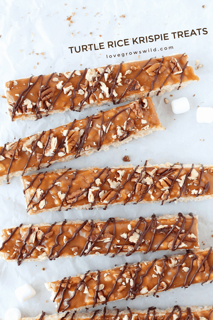 Classic rice krispie treats with a delicious turtle topping of creamy caramel, crunchy pecans, and a decadent chocolate drizzle! | Love Grows Wild for TheRecipeCritic.com