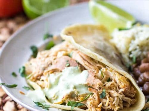 Cafe Rio Shredded Chicken Copycat The Recipe Critic