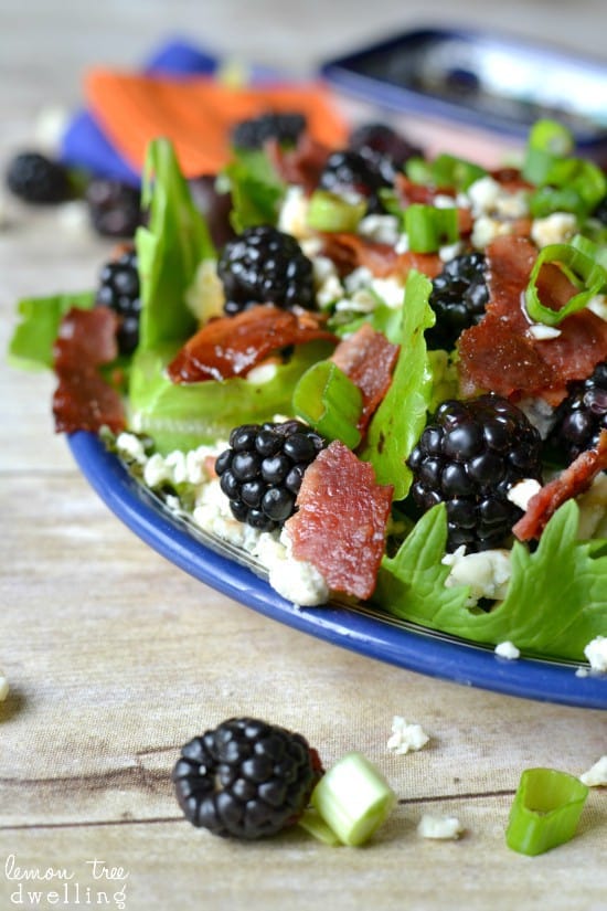 Blackberry, Bacon & Blue Cheese Salad in a blue bowl. 