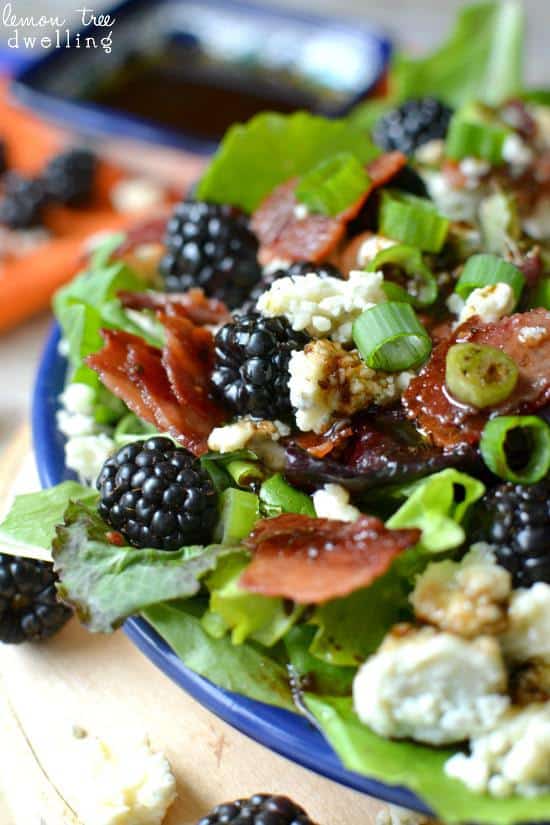 Blackberry Bacon and Blue Cheese Salad - 16