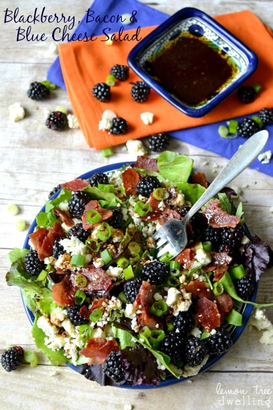 Blackberry Bacon and Blue Cheese Salad - 97