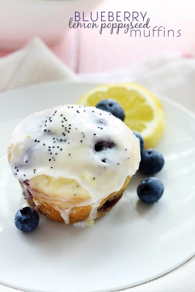 Blueberry Lemon Poppyseed Muffins - 79