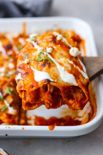 Buffalo Chicken Enchiladas | The Recipe Critic