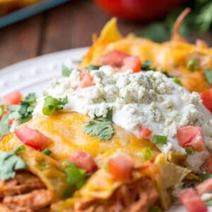 Buffalo Chicken Enchiladas - 24