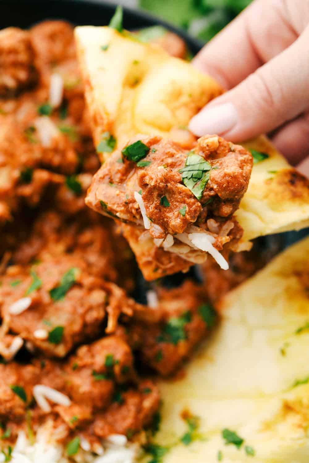 Chicken tikka masala being dipped in naan bread. 