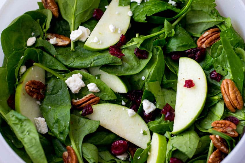 Cranberry Apple Pecan Salad with Creamy Poppyseed Dressing - 31