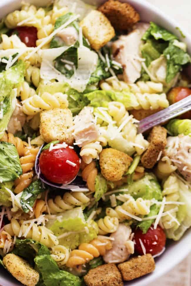 Chicken Caesar Pasta Salad The Recipe Critic