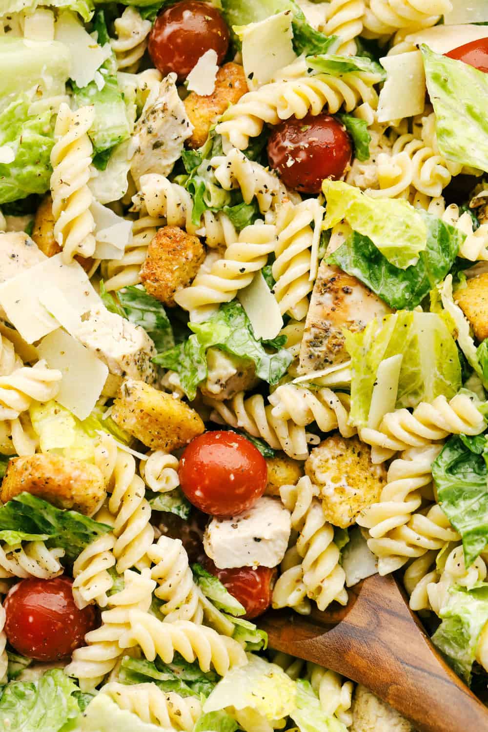 Chicken Caesar Pasta Salad | The Recipe Critic