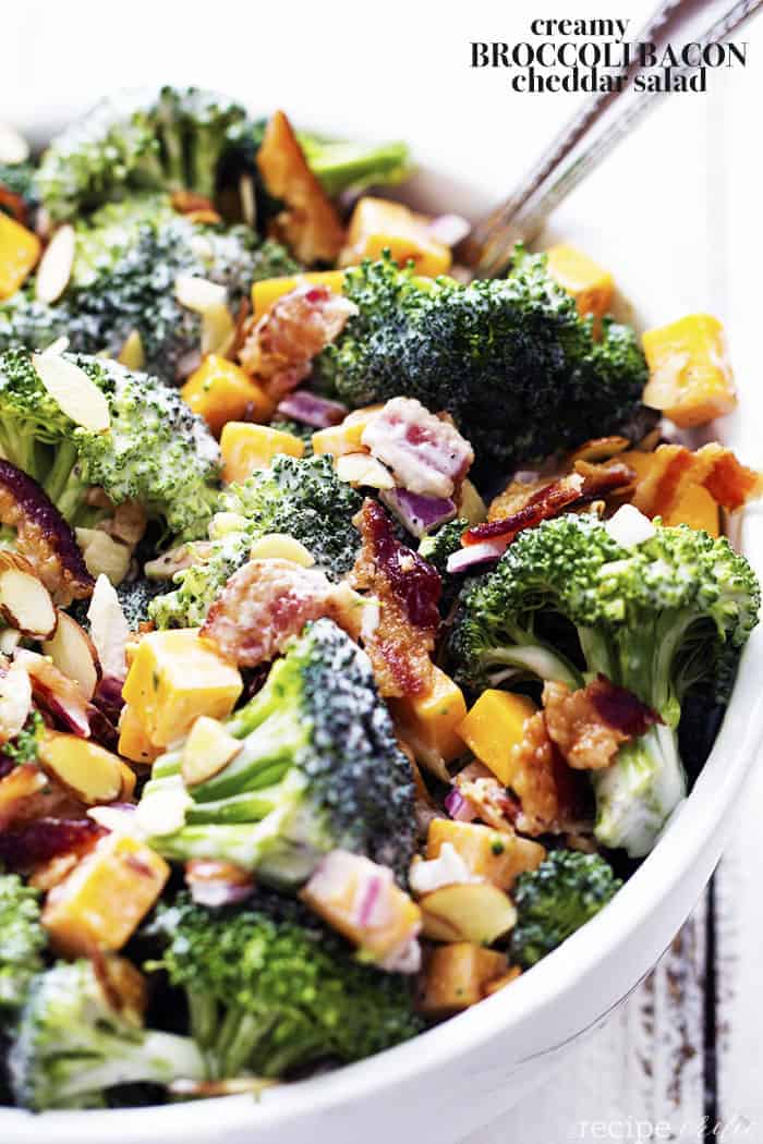 Creamy Broccoli Bacon And Cheddar Salad The Recipe Critic