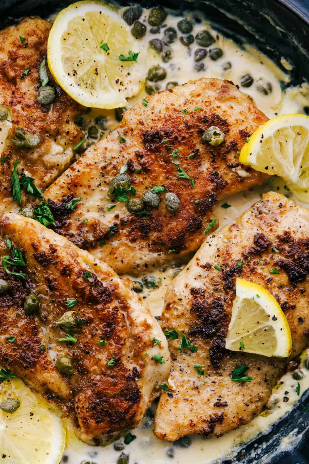 Upclose picture of creamy chicken piccata with lemons. 