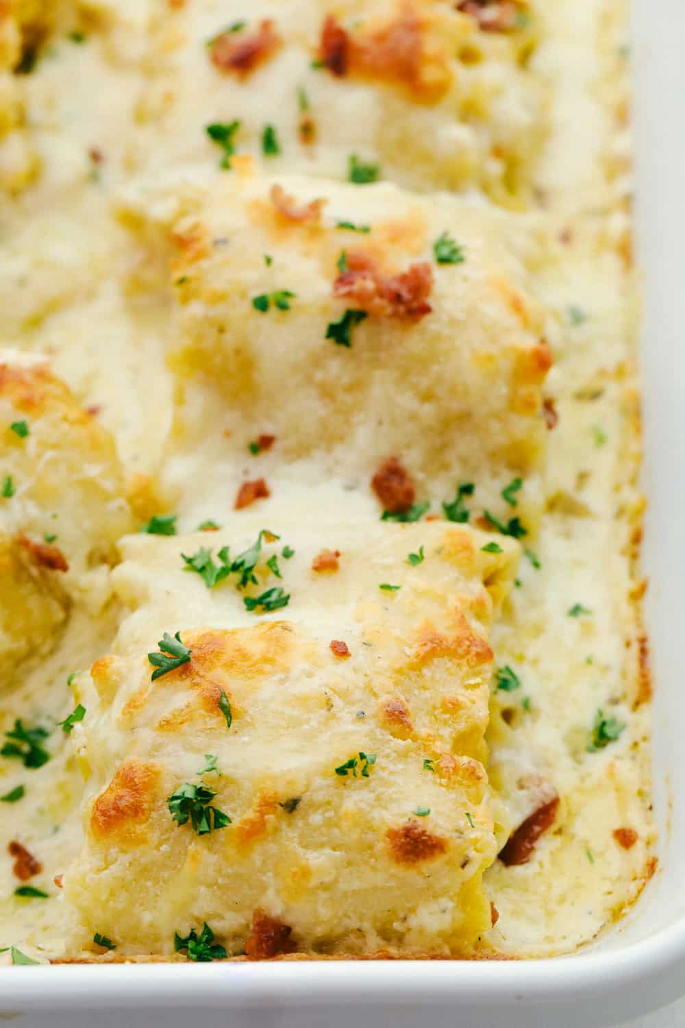 Baked chicken bacon alfredo roll ups in a pan. 
