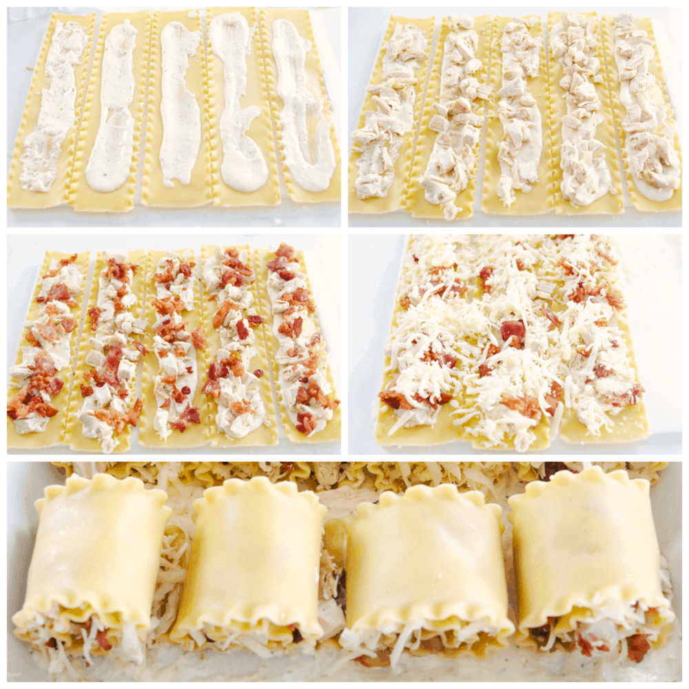 Placing alfredo chicken and bacon on lasagna noodles and then rolling them up. 