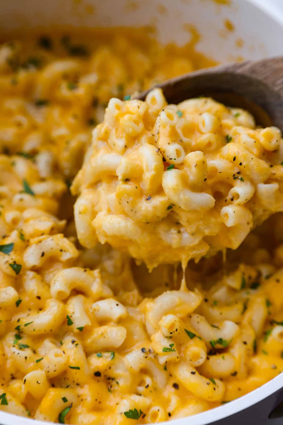 Close up shot of a scoop of cheesy butternut squash pasta being lifted out of the pot.