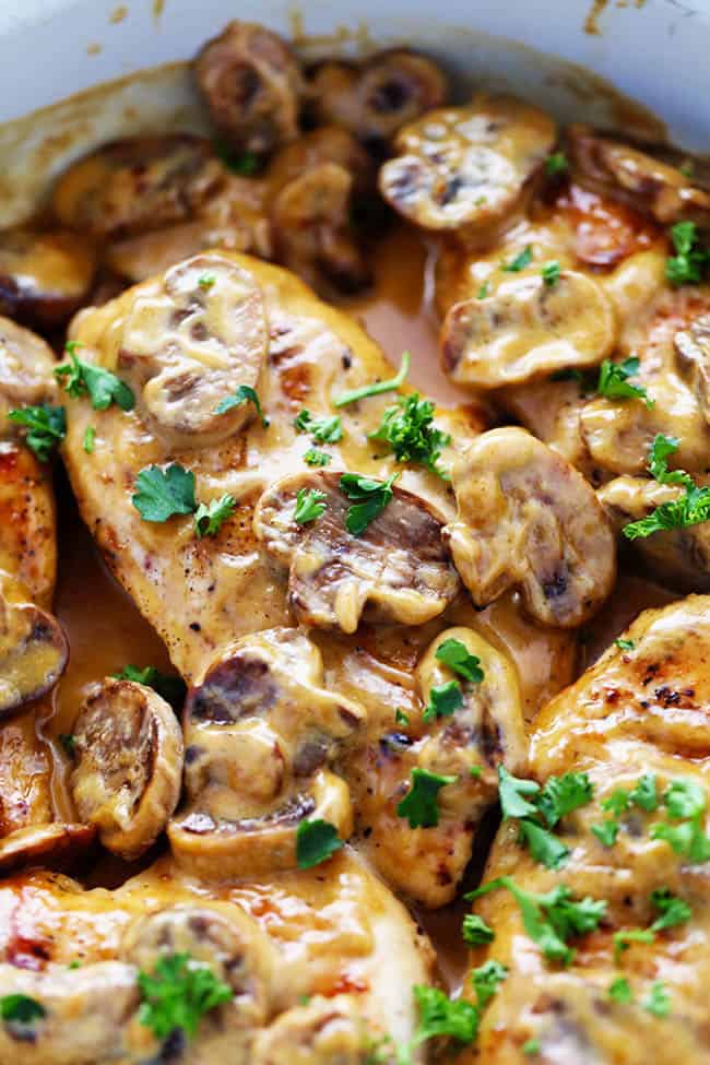 close up on creamy chicken marsala