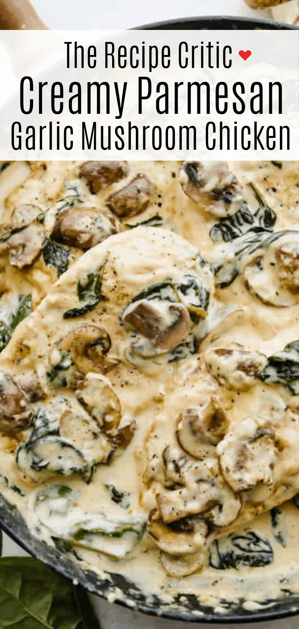 Creamy Parmesan Garlic Mushroom Chicken | The Recipe Critic