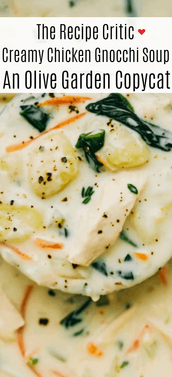 Creamy Chicken Gnocchi Soup Olive Garden Copycat The Recipe Critic