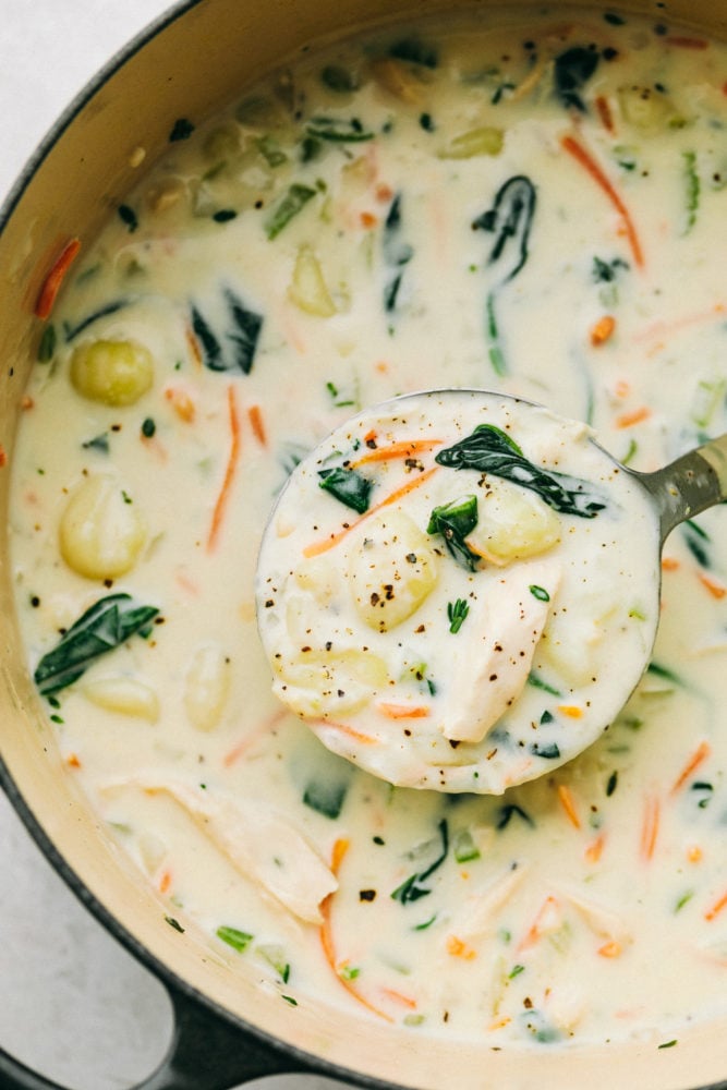 Creamy Chicken Gnocchi Soup (Olive Garden Copycat) - Recipe Ocean