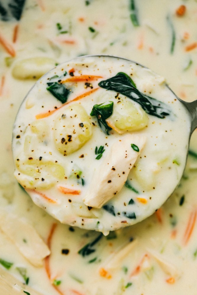 Creamy Chicken Gnocchi Soup  Olive Garden Copycat  - 26