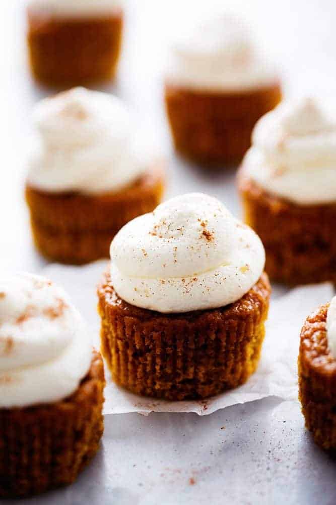 Pumpkin pie cupcakes with cream cheese whipping cream. 