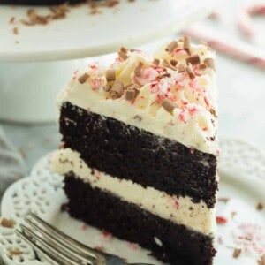 This Double Chocolate Peppermint Cake has two chocolate cake layers, white chocolate whipped cream and is finished off with crushed candy canes and chocolate shavings -- this is the dessert you want to bring to the Christmas party!