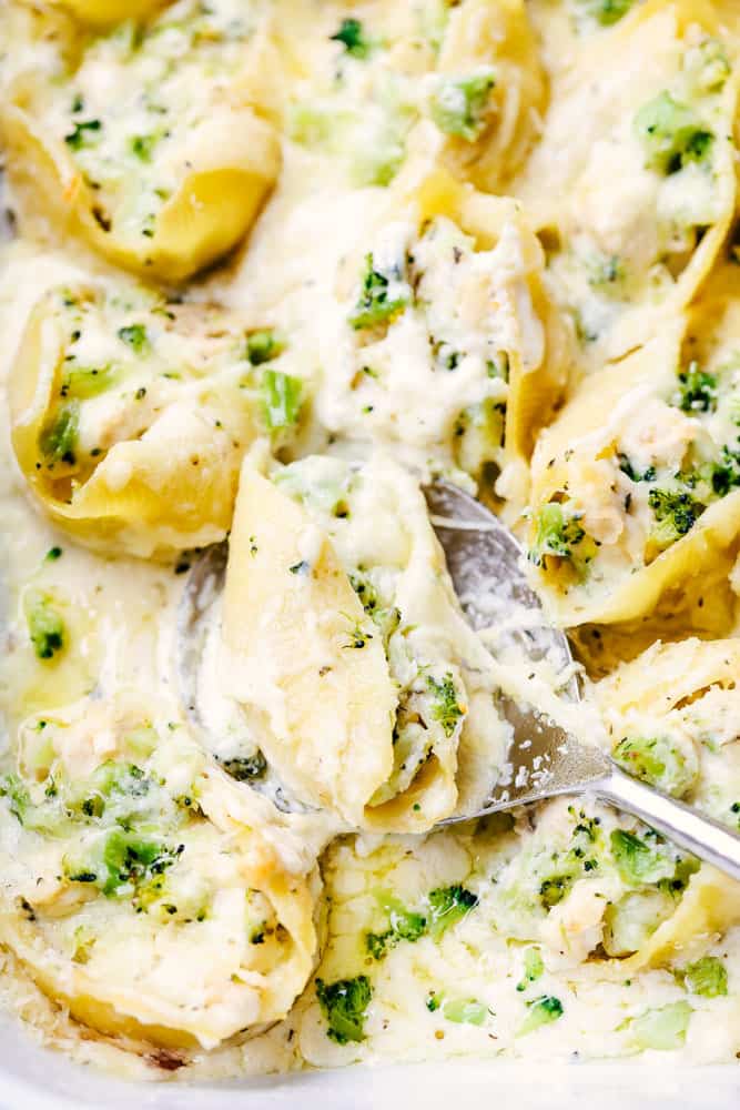 Chicken Broccoli Garlic Alfredo Shells - 33