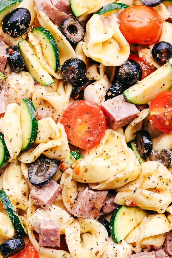 Easy Italian Tortellini Pasta Salad | The Recipe Critic