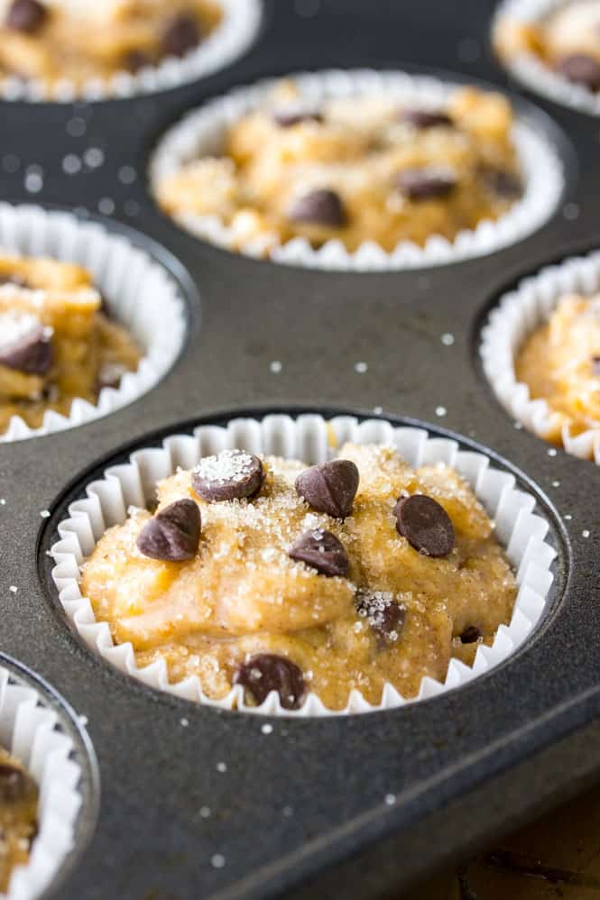 Chocolate Chip Pumpkin Muffins || The Recipe Critic