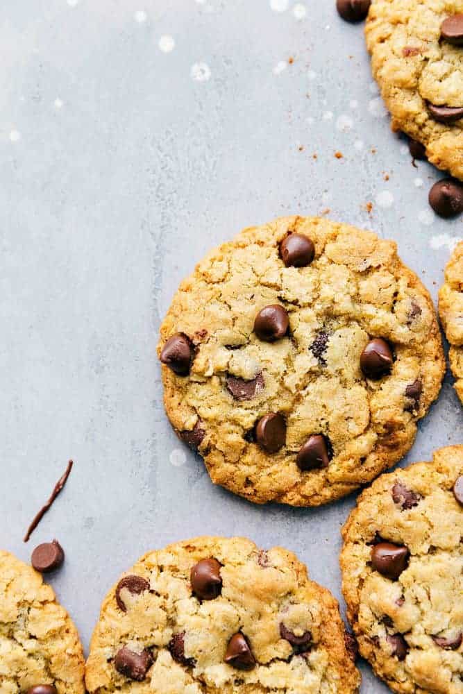 Chewy oatmeal cookies with chocolate chips on top. 