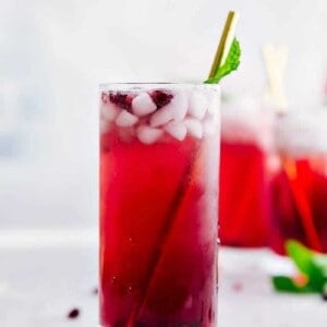 Sparkling Pomegranate Lemonade - 63