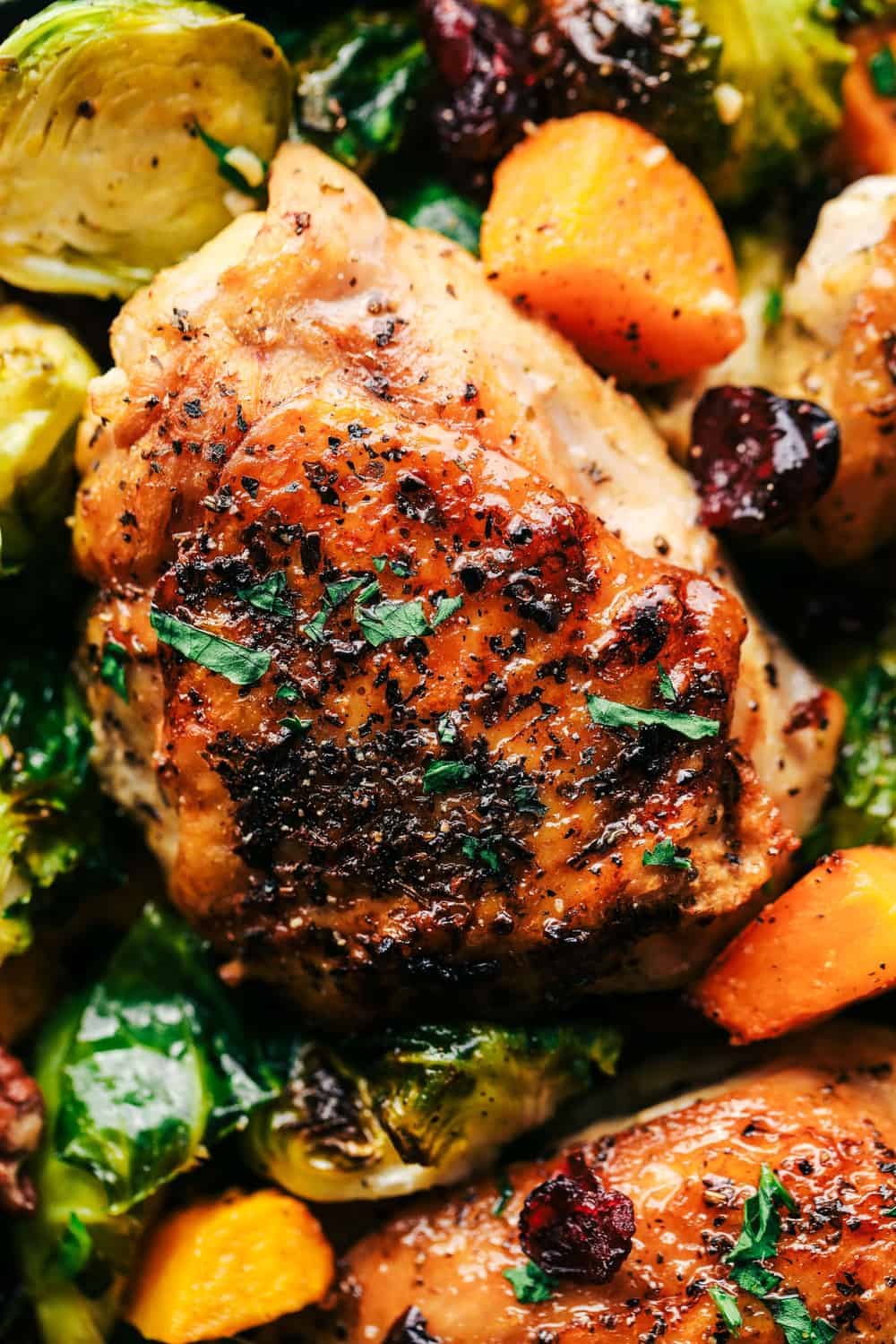 roasted honey garlic butter chicken wit Brussels sprouts and butternut squash up close picture 