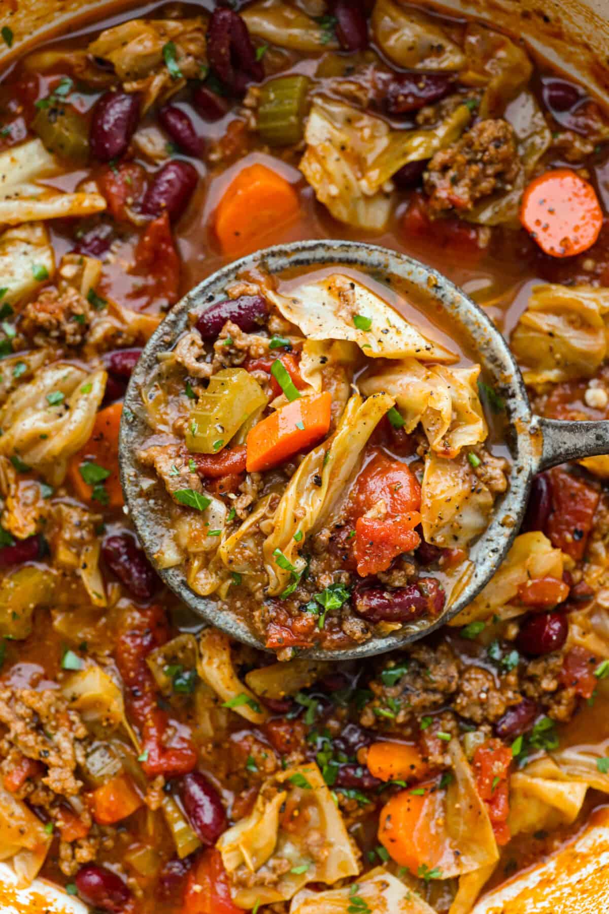 Close up shot of beef and cabbage soup. 