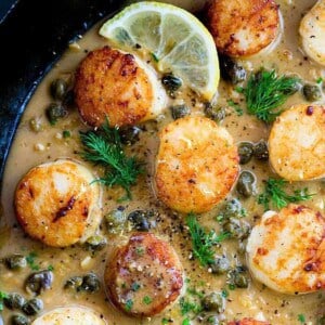 Pan Seared Scallops with Lemon Caper Sauce - 84