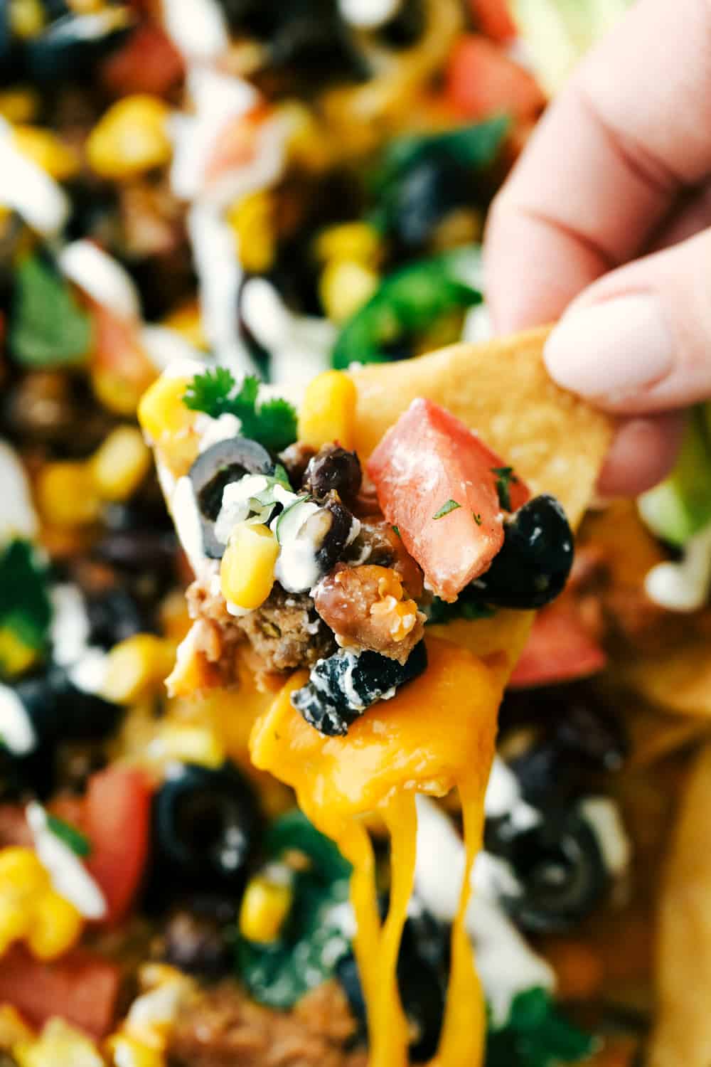 Unclose photo of a nacho chip with all the toppings on one of them. 