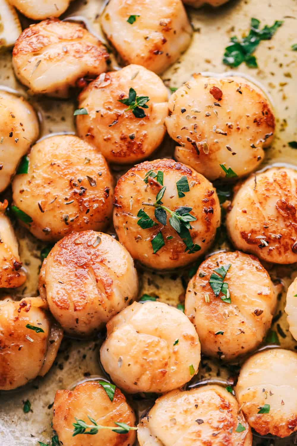 Close up on scallops in pan.
