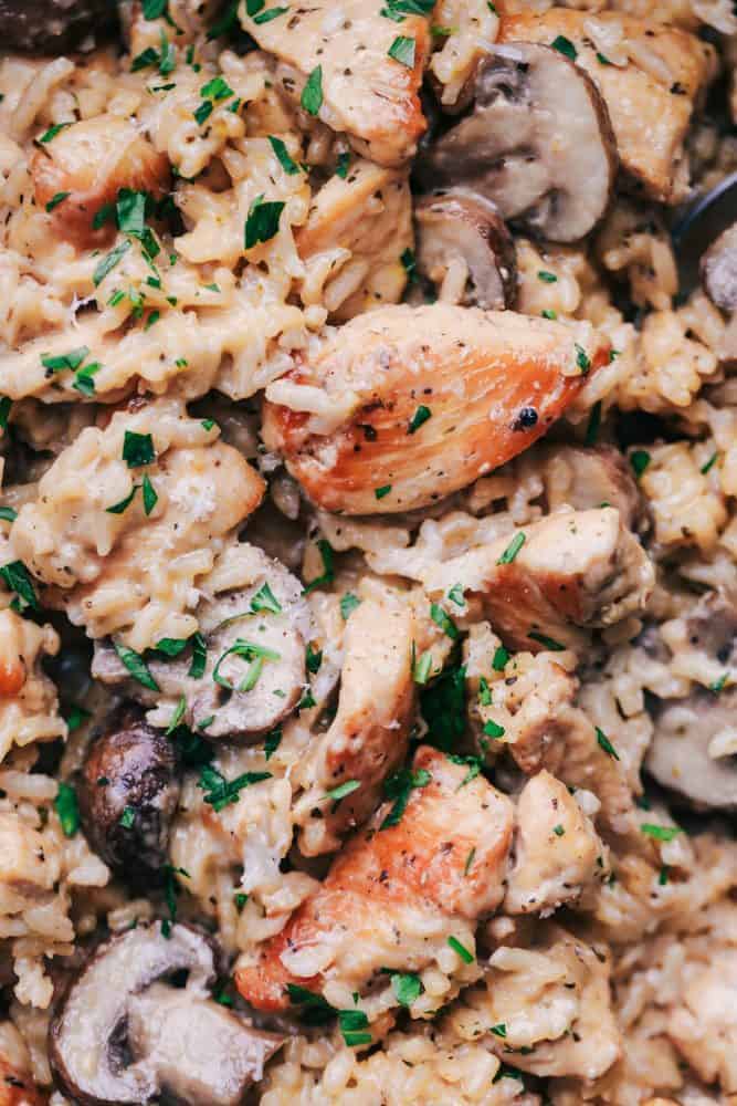 One Pot Creamy Parmesan Chicken with Mushroom Rice | The Recipe Critic