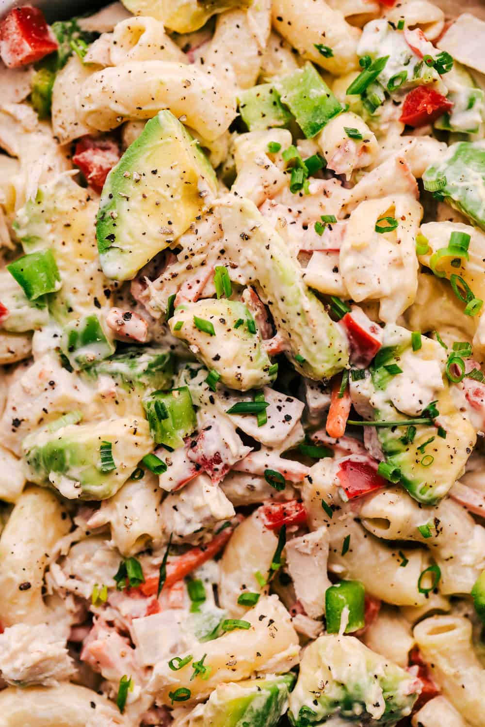 Tuna Avocado Macaroni Salad | The Recipe Critic