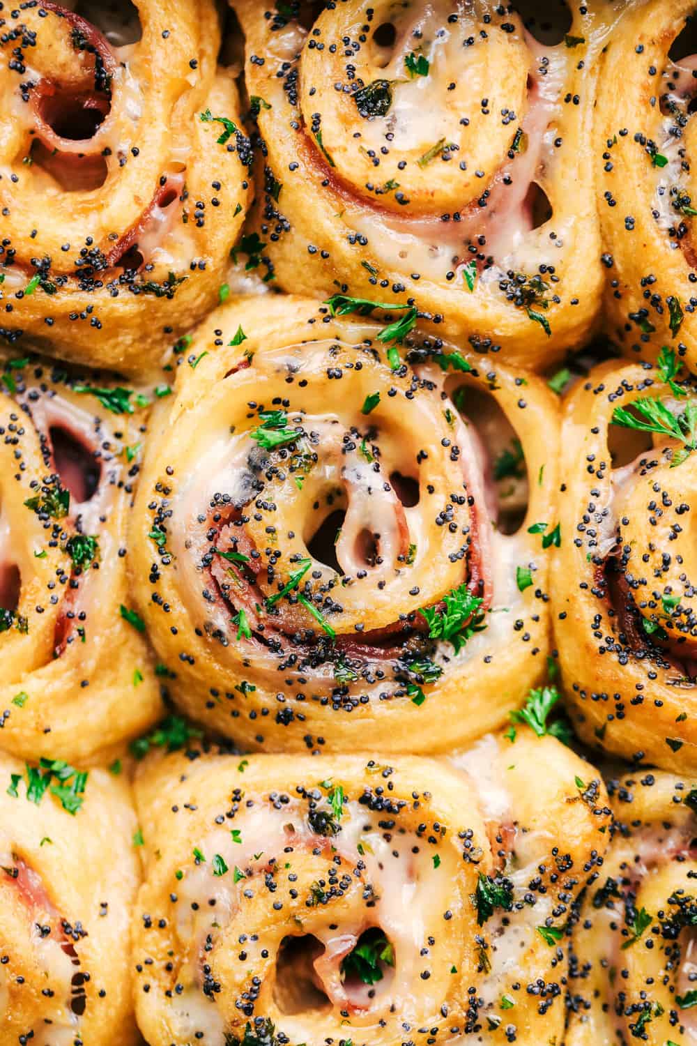 Hot Ham and Swiss Pinwheels | The Recipe Critic