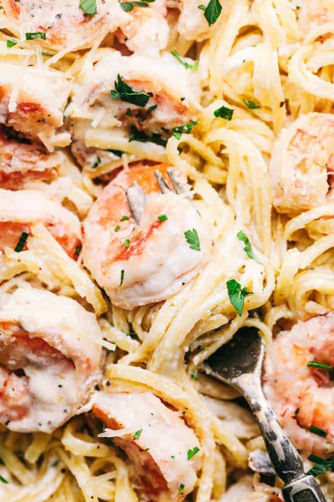 Up close photo of creamy garlic shrimp Alfredo pasta with a fork full of shrimp and pasta. 