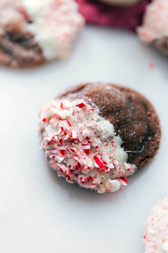 chocolate peppermint gingersnap cookie 