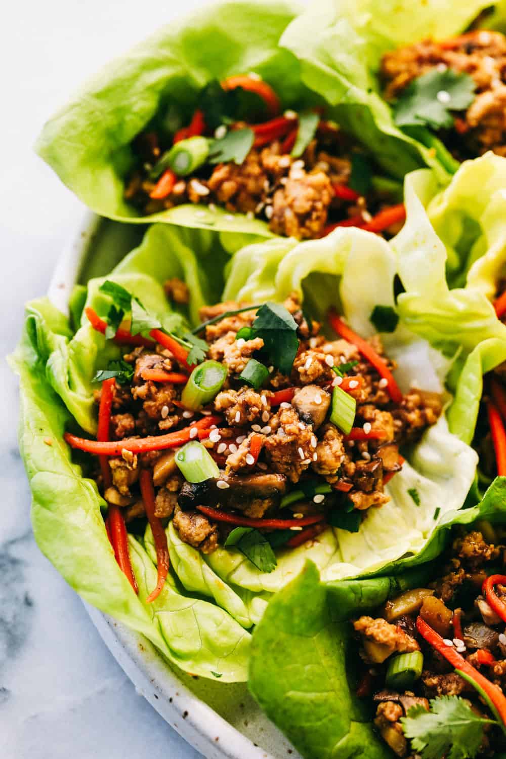 Asian Turkey Lettuce Wraps - Foody Blog