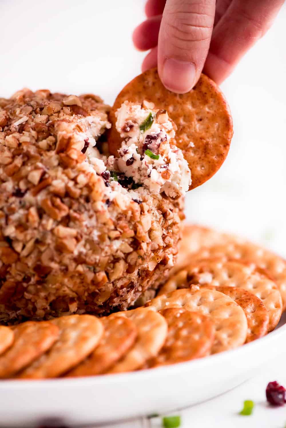 Cranberry Pecan Cheese Ball | The Recipe Critic
